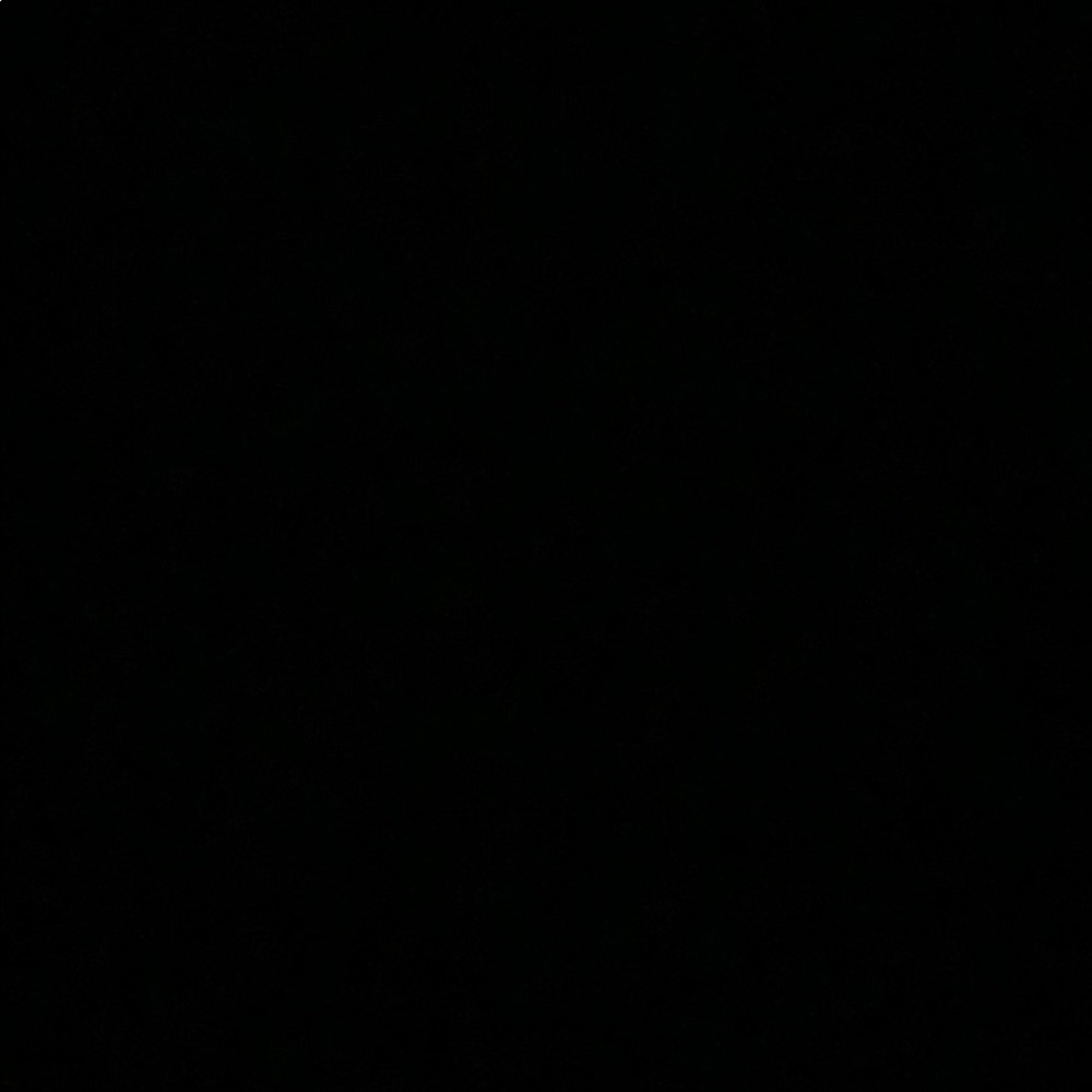 Meet your Posher, Liza